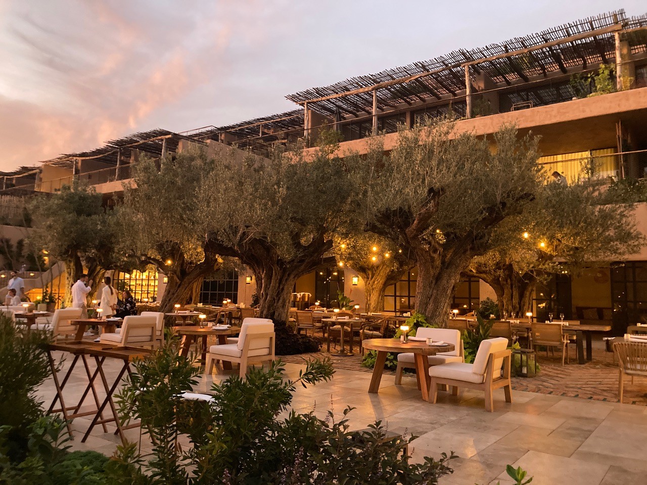 Servicios de jardinería en Ibiza